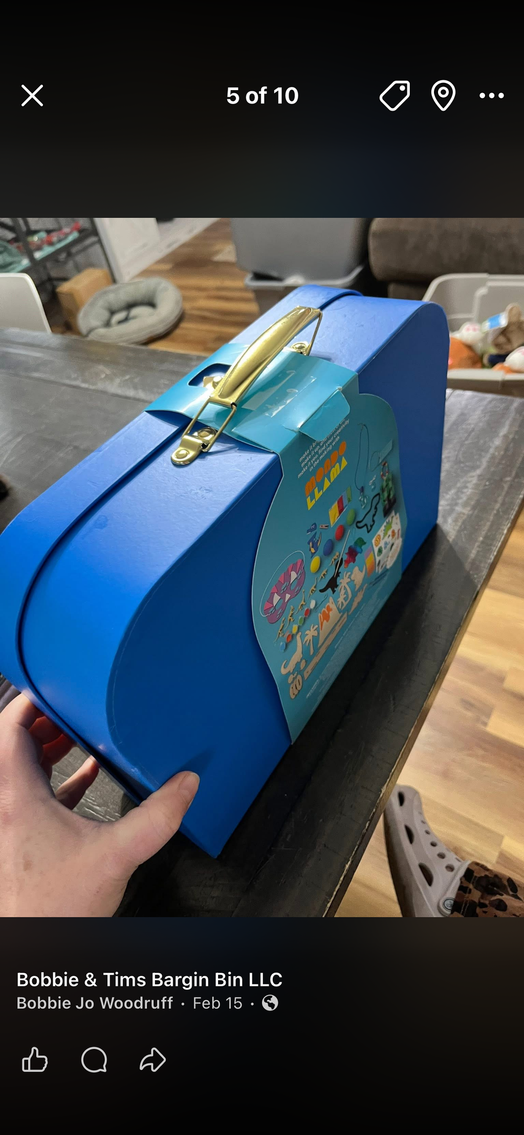 15 in 1 Dino Activity Kit