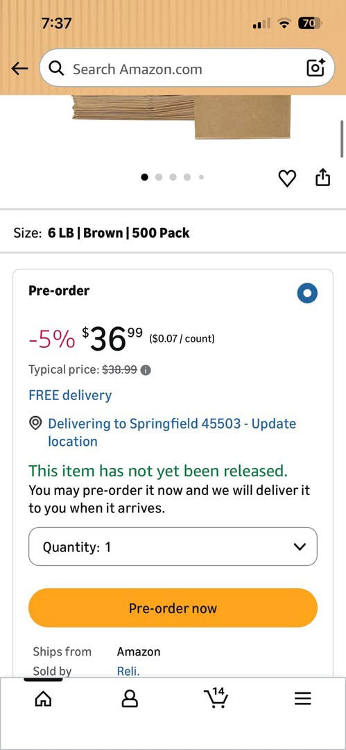 500 ct Brown Paper Bags