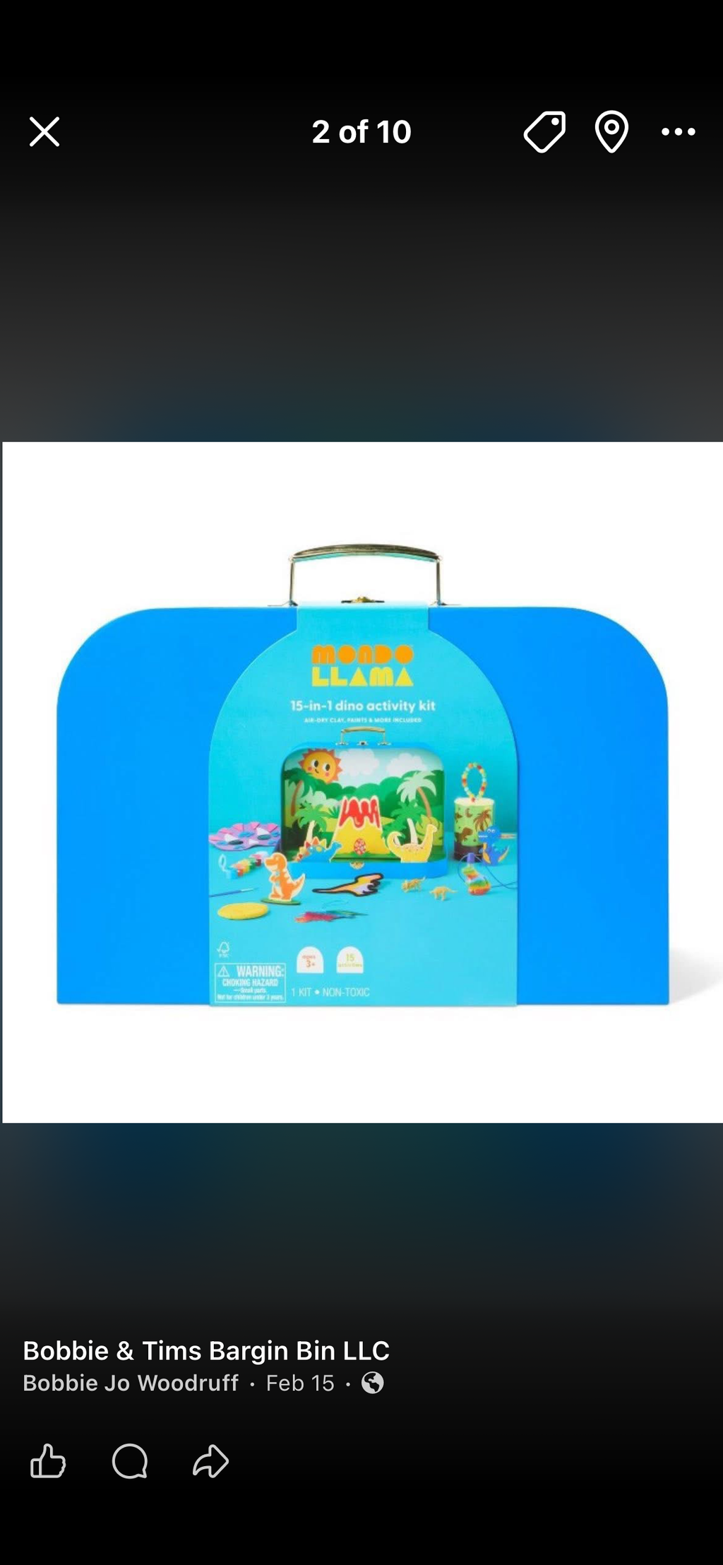 15 in 1 Dino Activity Kit
