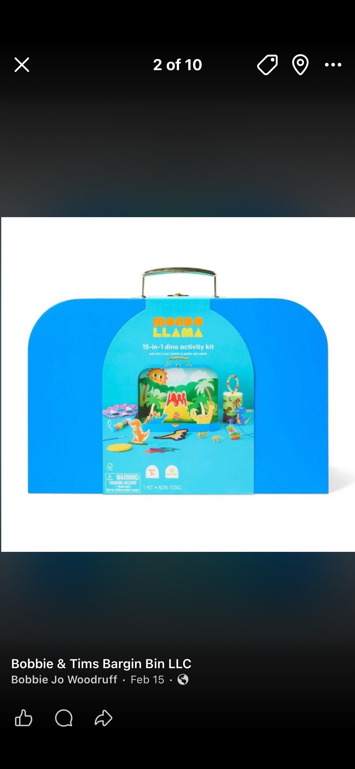 15 in 1 Dino Activity Kit