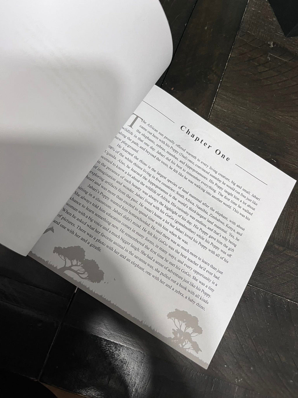 The Adventures of Raffee and Jabari - Paperback