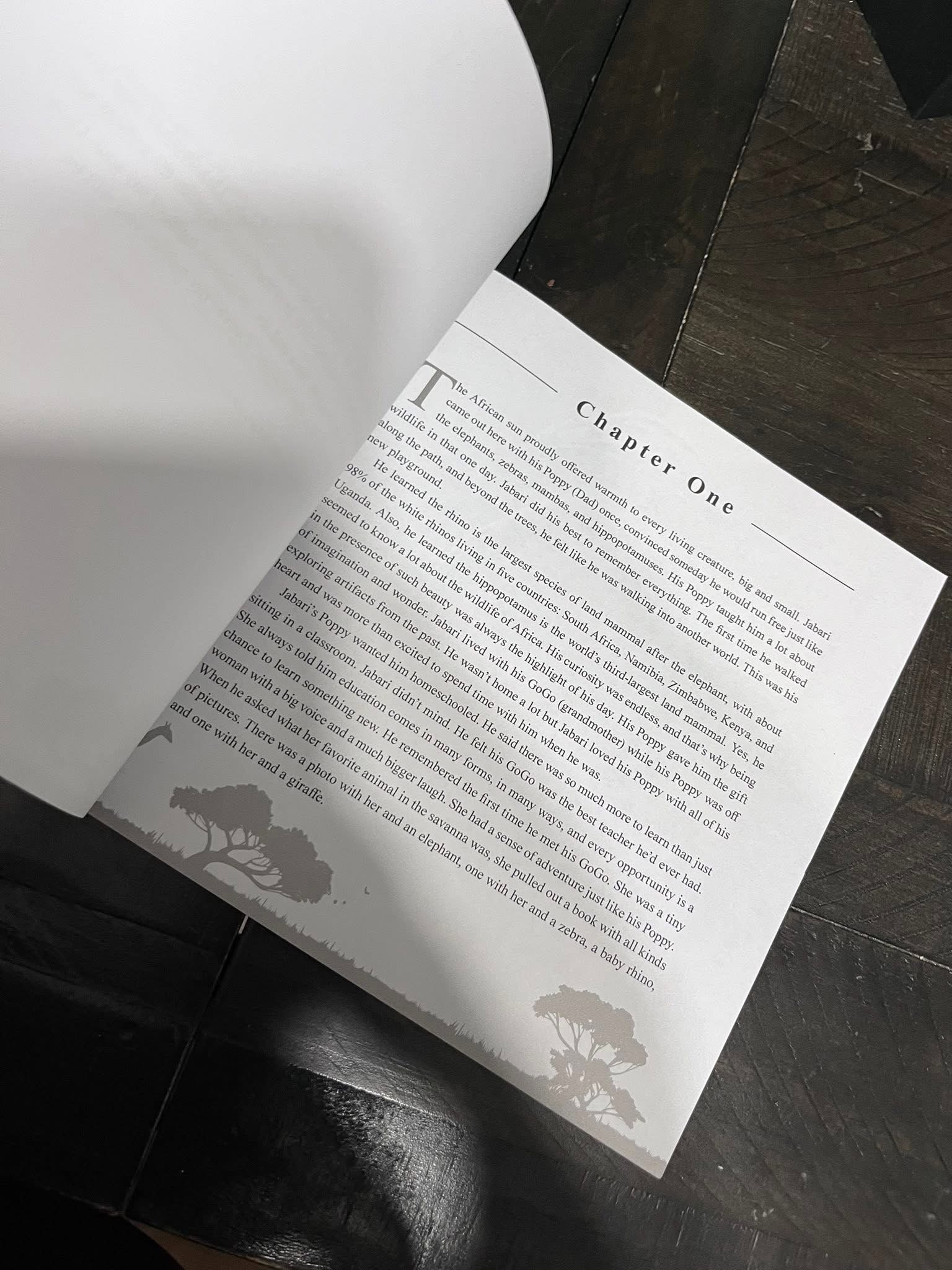 The Adventures of Raffee and Jabari - Paperback