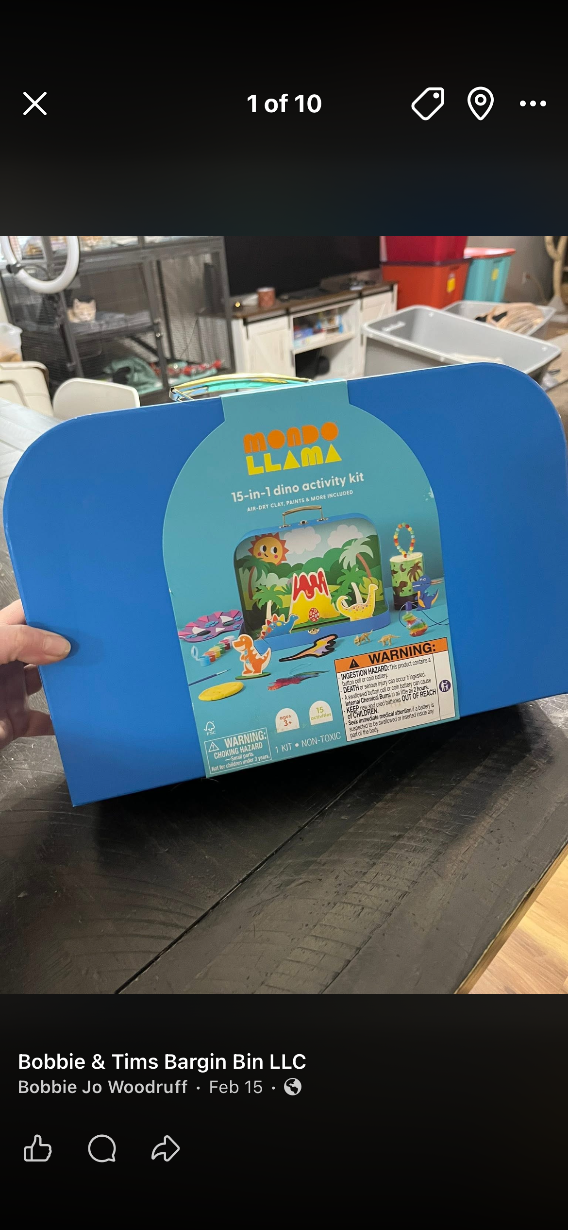 15 in 1 Dino Activity Kit