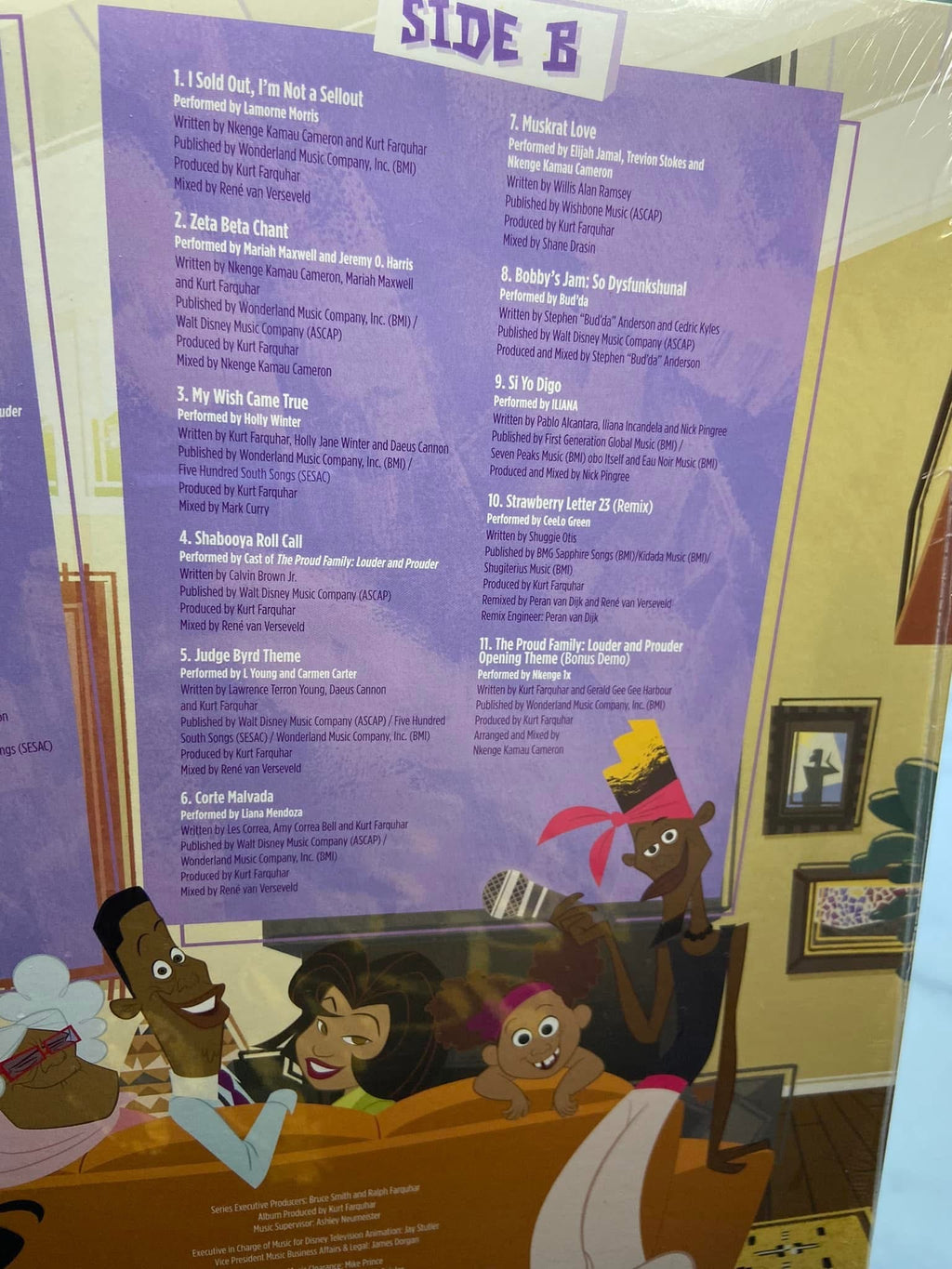 The Proud Family Lp