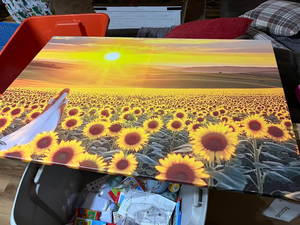 Wall Art Canvas - 3ftx2ft