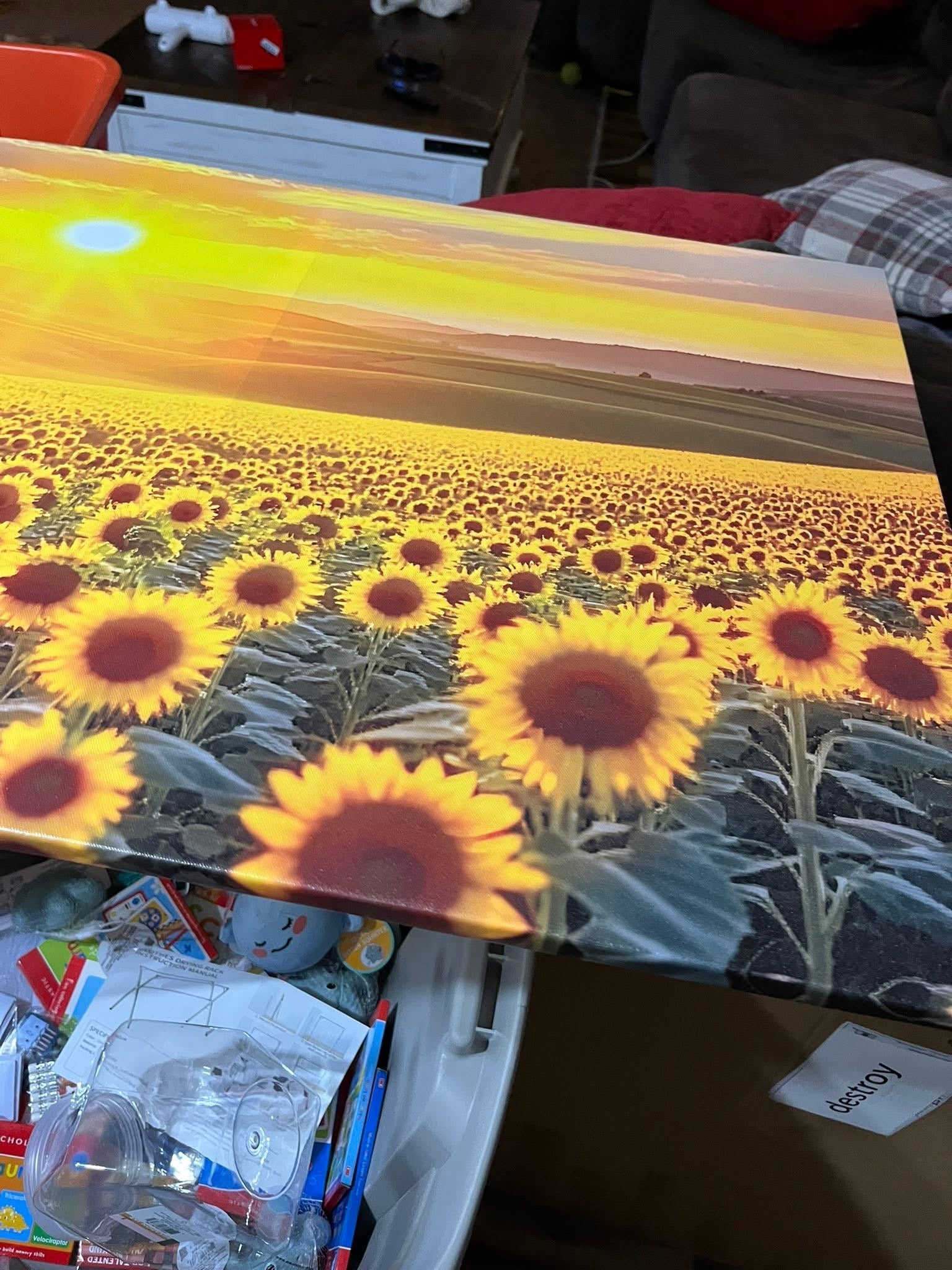 Wall Art Canvas - 3ftx2ft