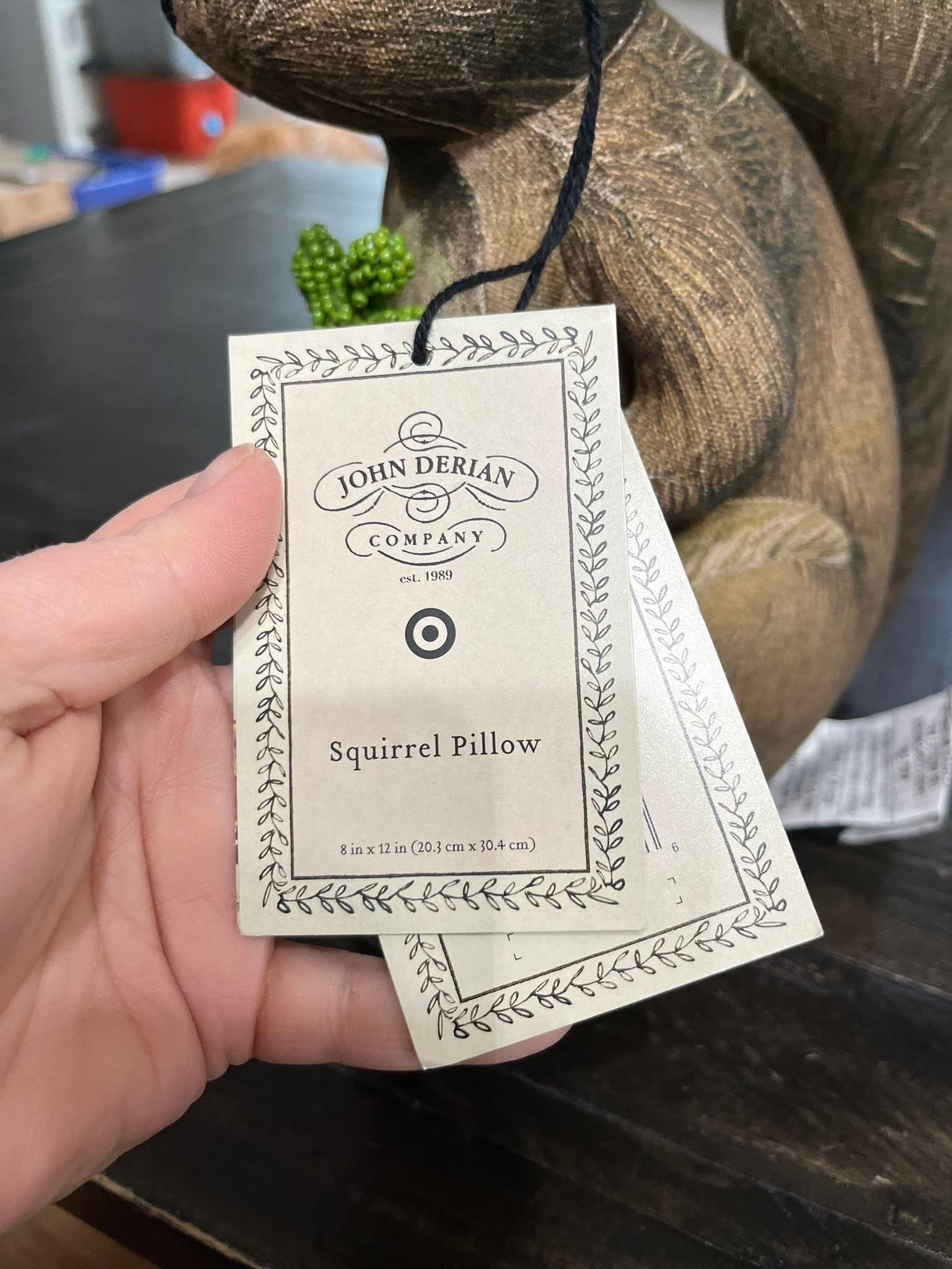 John Derian Limited Edition Squirrel Pillow