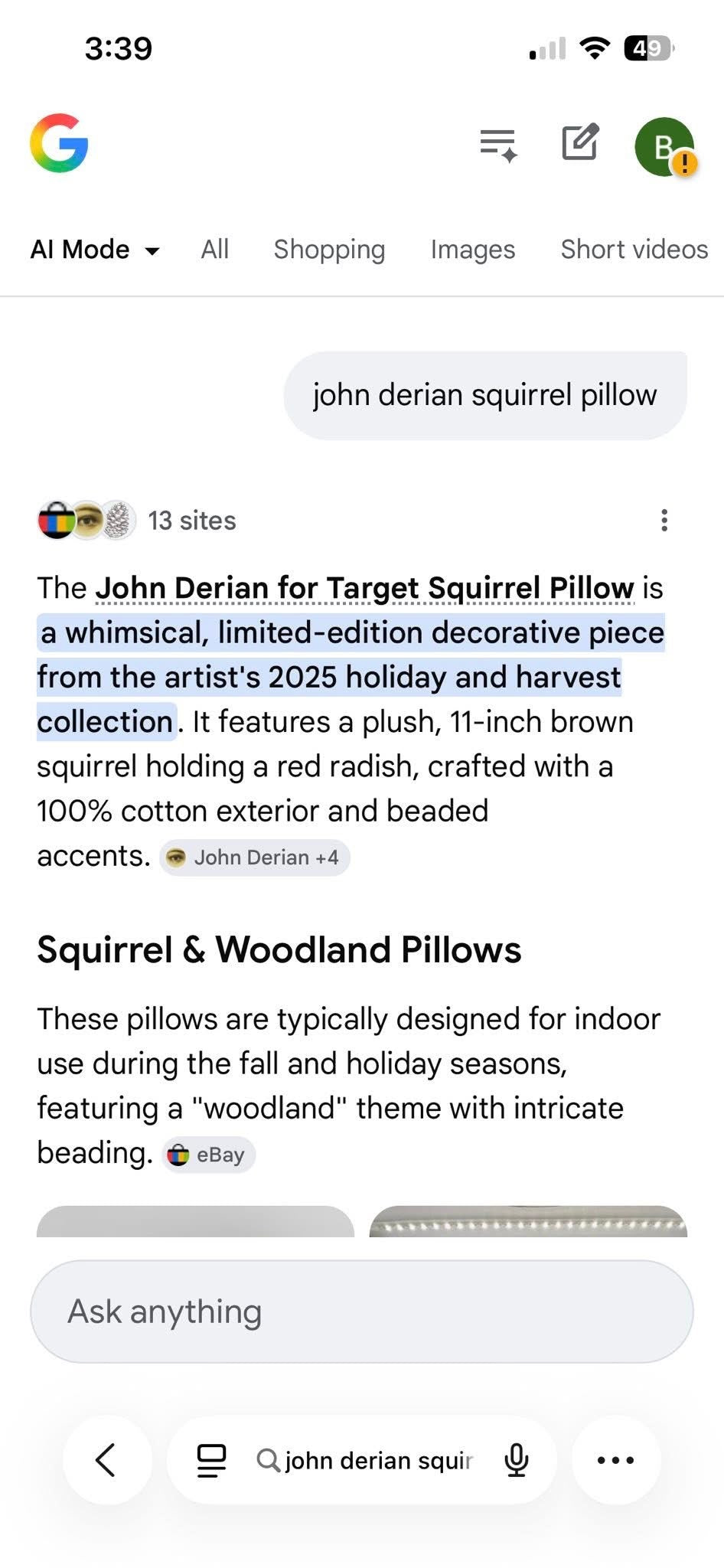 John Derian Limited Edition Squirrel Pillow