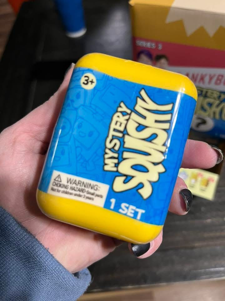 Lanky Box Mystery Squishy