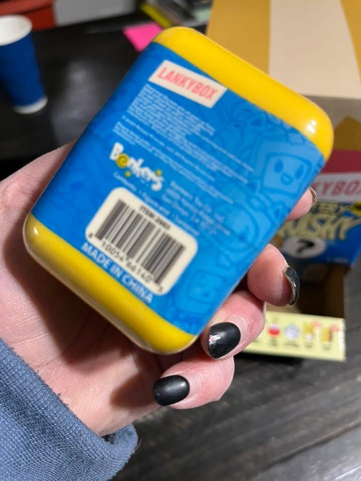 Lanky Box Mystery Squishy