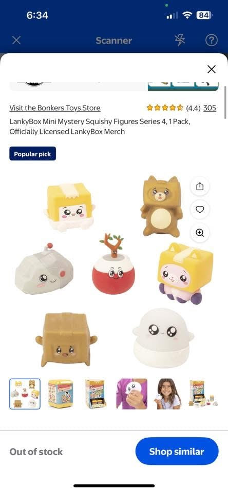 Lanky Box Mystery Squishy