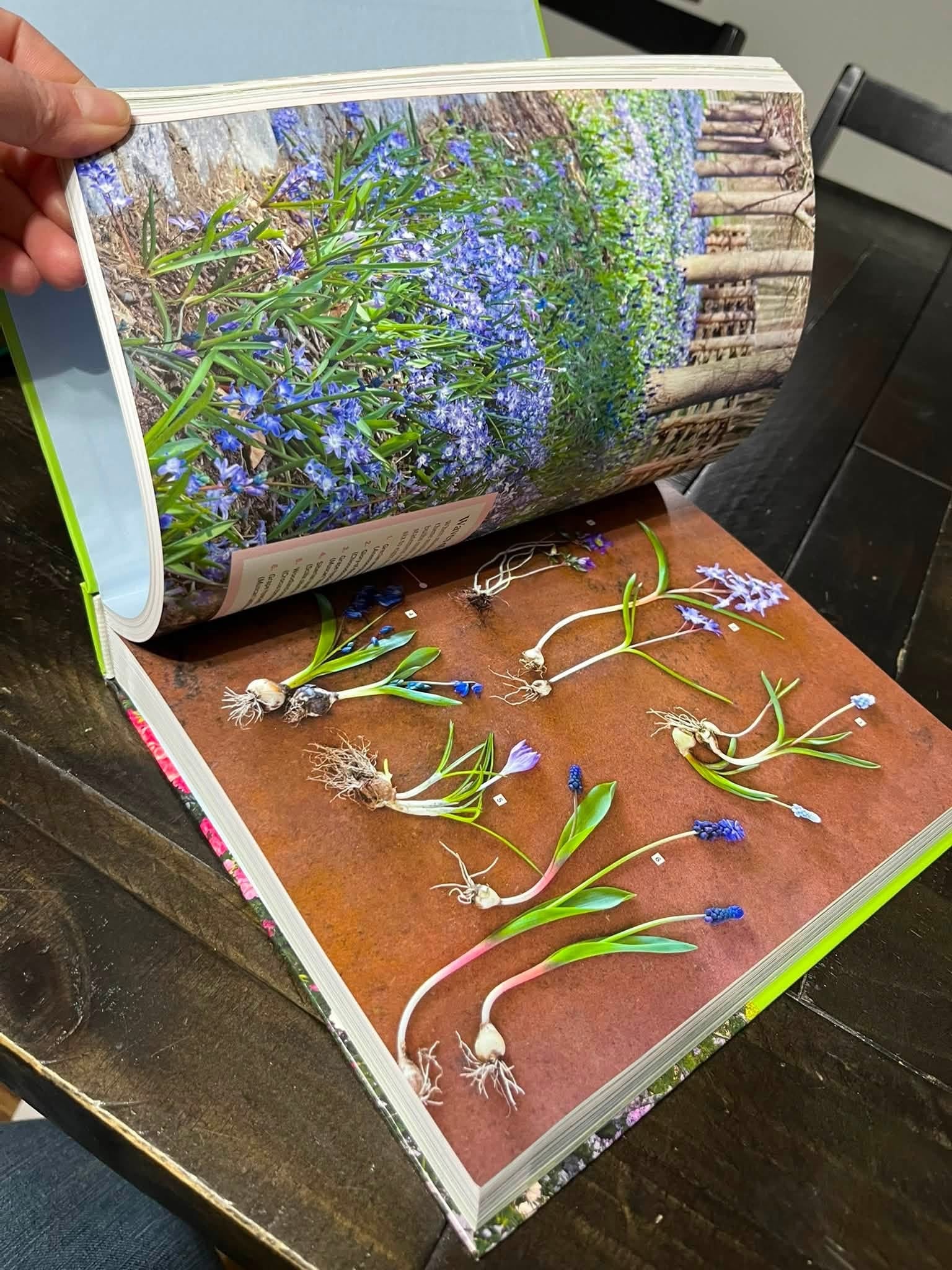 Martha Stewart Gardening Handbook