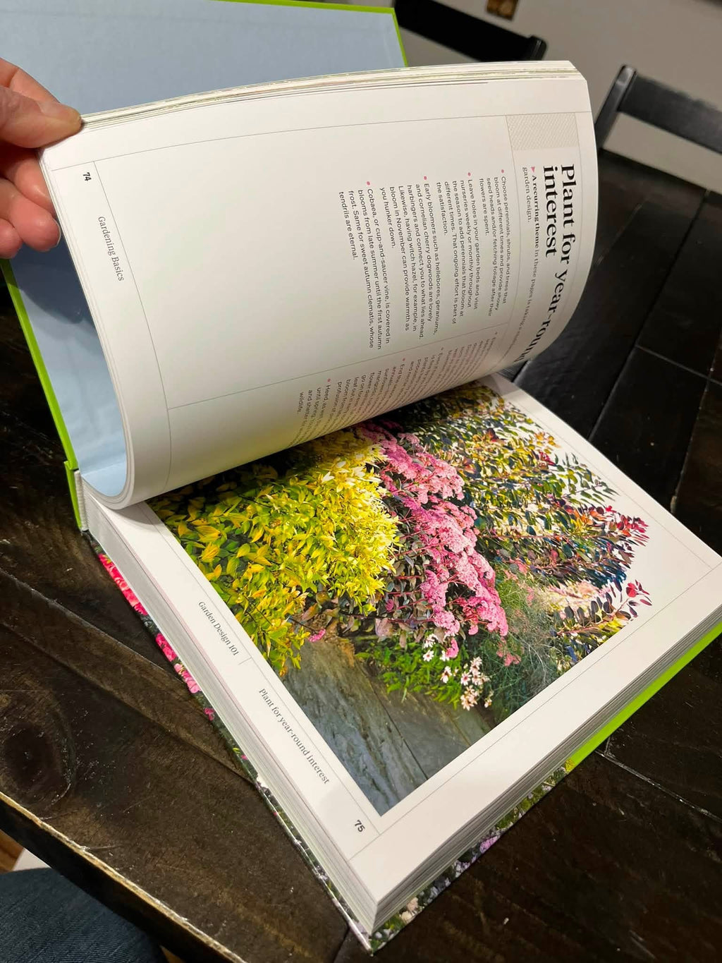 Martha Stewart Gardening Handbook