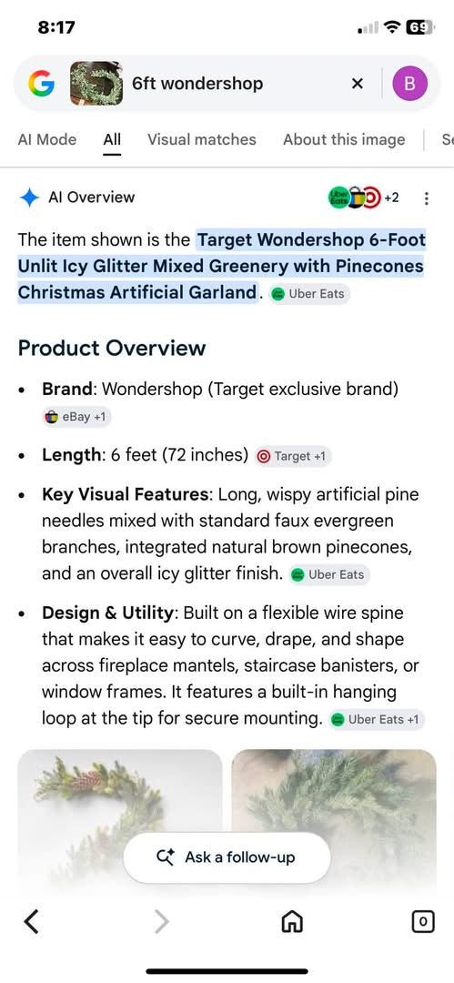 Wondershop 6' Unlit Garland with Pinecones